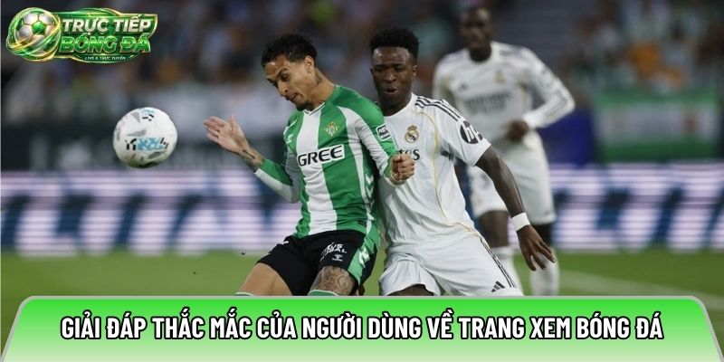 Giải đáp thắc mắc của người dùng về trang xem bóng đá