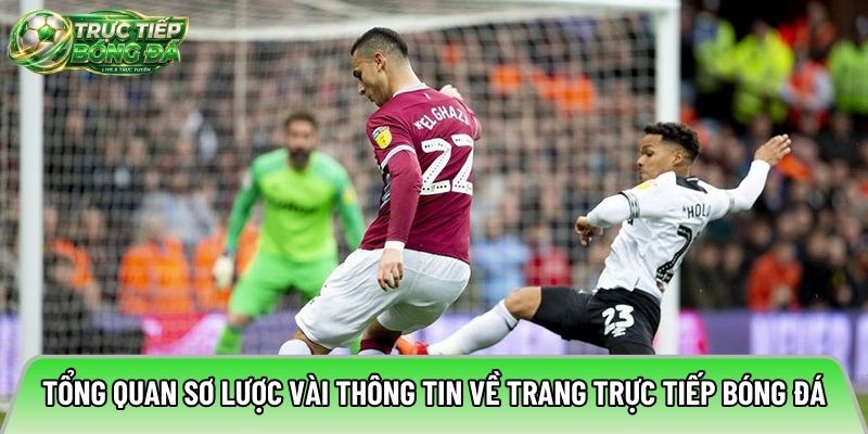 Tổng quan sơ lược vài thông tin về trang trực tiếp bóng đá