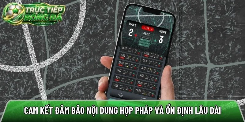 Cam kết đảm bảo nội dung hợp pháp và ổn định lâu dài