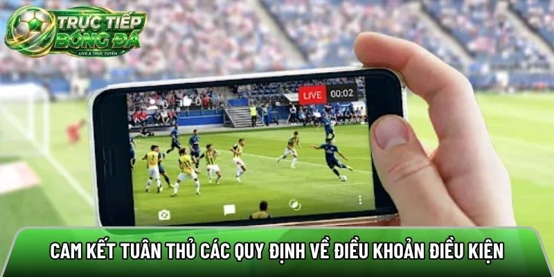 Cam kết tuân thủ các quy định về điều khoản điều kiện