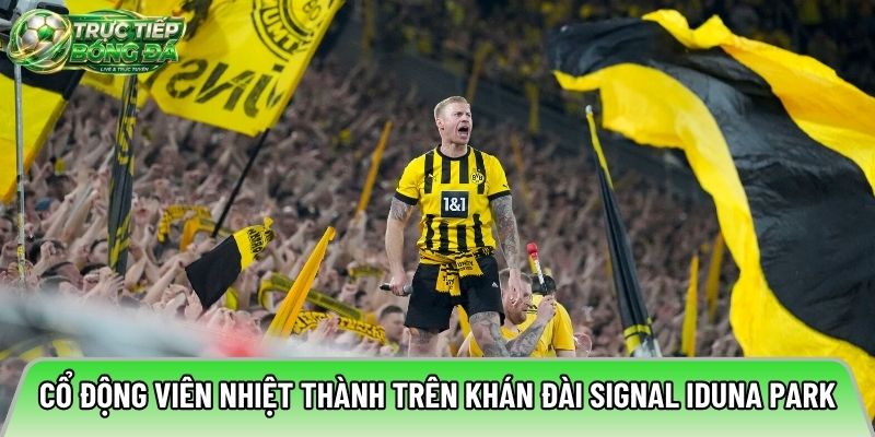 Cổ động viên nhiệt thành trên khán đài Signal Iduna Park
