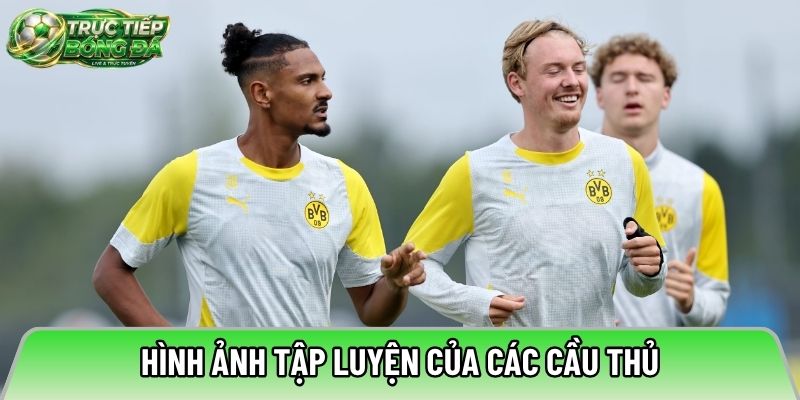 Hình ảnh tập luyện của các cầu thủ