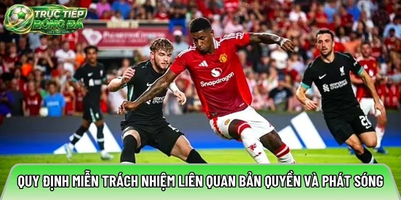 Quy định miễn trách nhiệm liên quan bản quyền và phát sóng