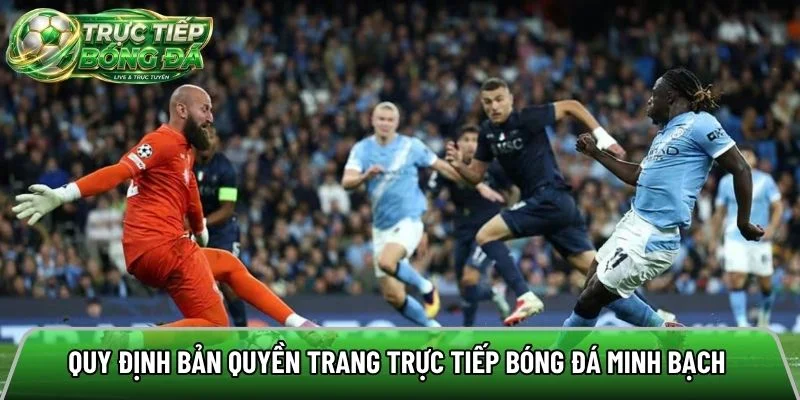 Nội dung quy định bản quyền minh bạch khi sử dụng