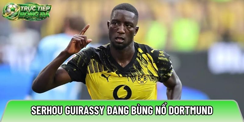 Serhou Guirassy đang bùng nổ Dortmund