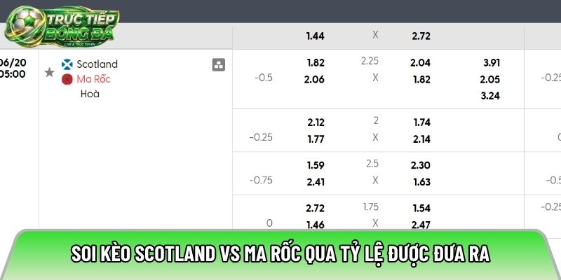 Soi kèo Scotland vs Ma Rốc qua tỷ lệ được đưa ra